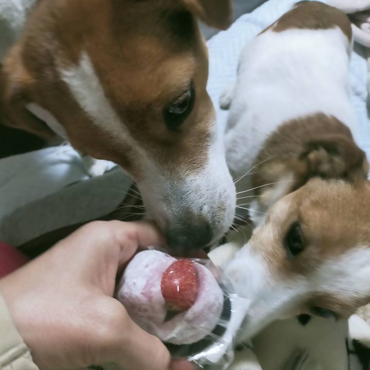 2d0e0002 9fba 482e 89e5 42dd13b7f97f 1768982645933