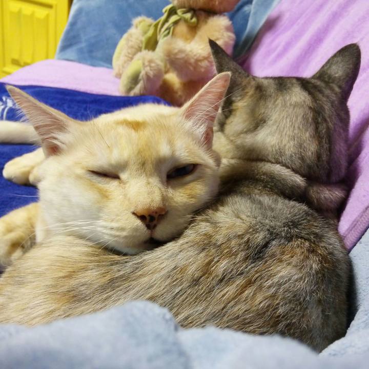 2d0e3d51 be34 4a95 8180 85fb4995033c 1509102689553