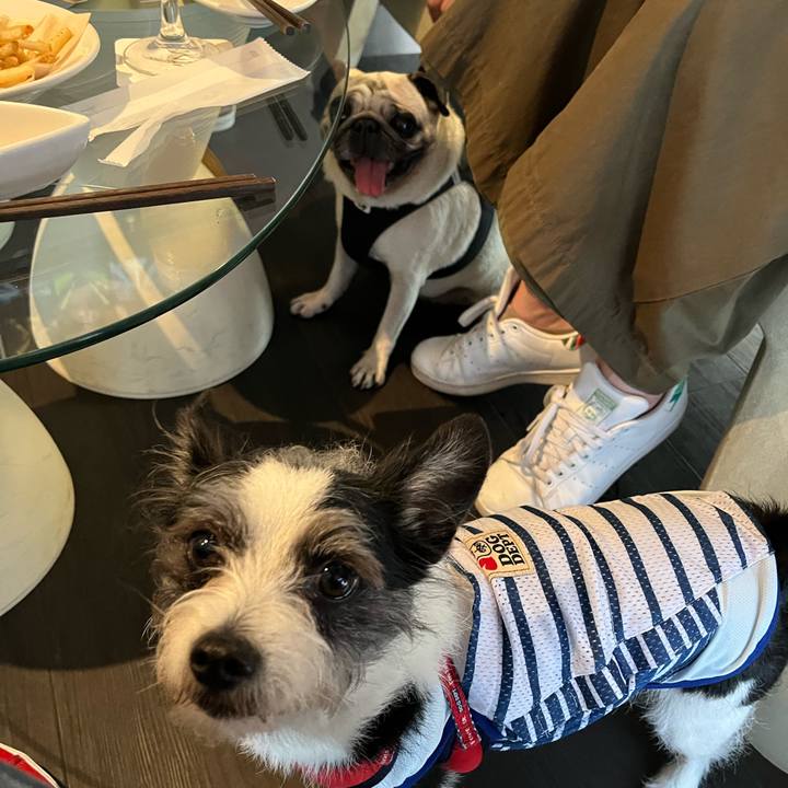 2d0e5190 98a1 48cd 90a1 d4031236b40d 1684580209271