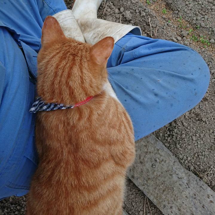 2d0e8ae2 0e16 423d 881d 435fb72a03a8 1569139262391