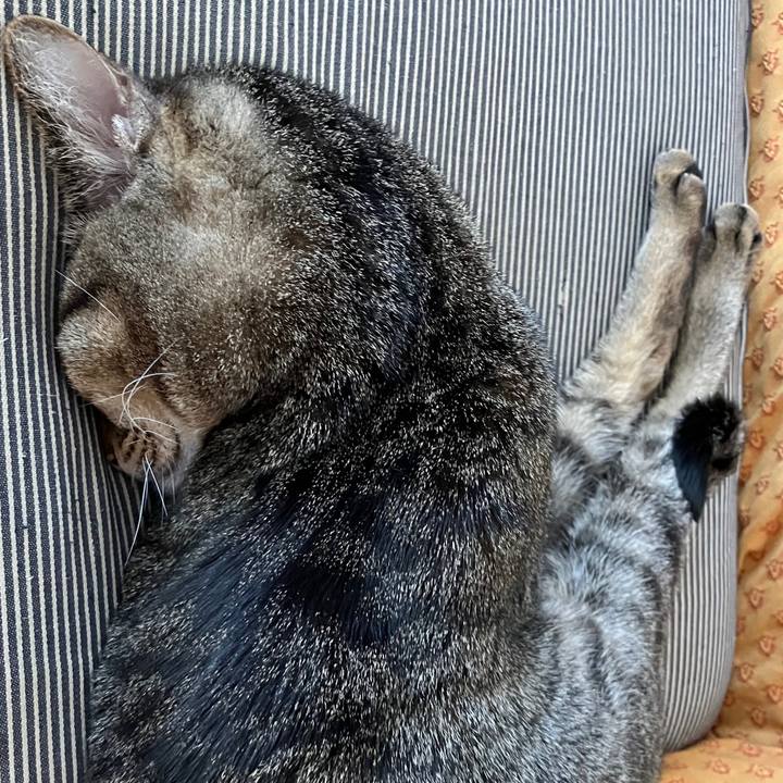 2d0e8c11 0528 4c82 86e1 cf96046e2c66 1764906661270