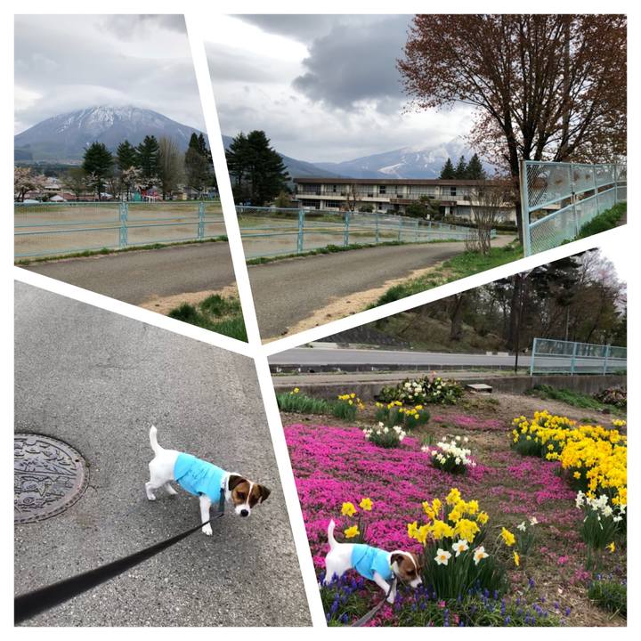 2d0e9b65 4d27 48e4 a53b 318ccaeb85b2 1524529202815