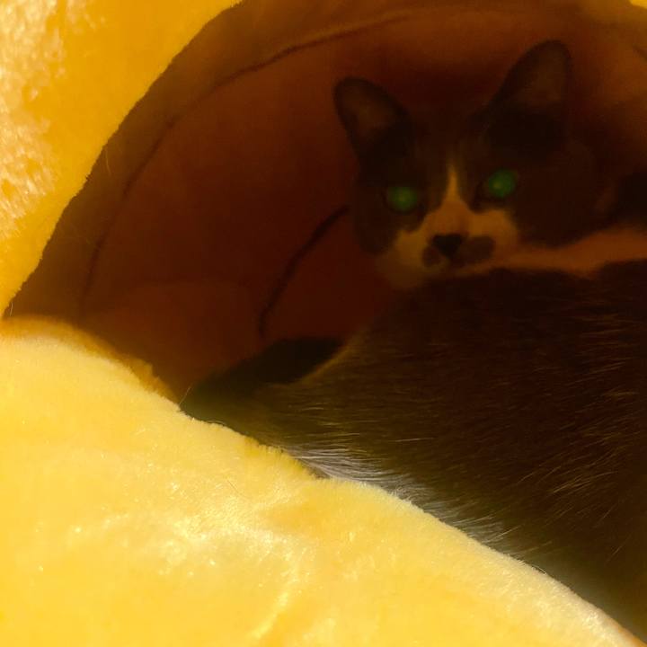 2d0e9b68 58af 4be1 86d3 45e6511a7330 1743594553223