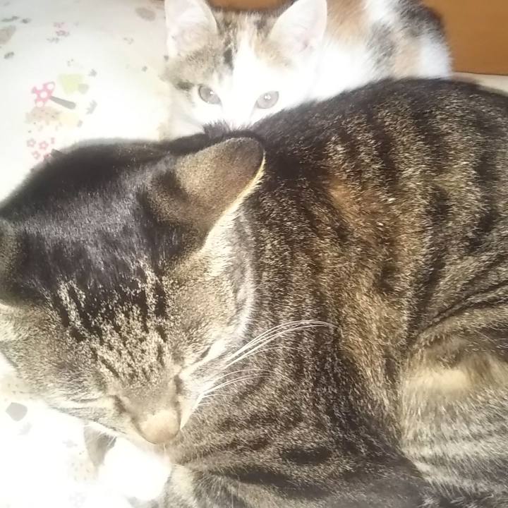 2d0eba69 d46c 4cd6 91a1 403bb23a0392 1635147930022