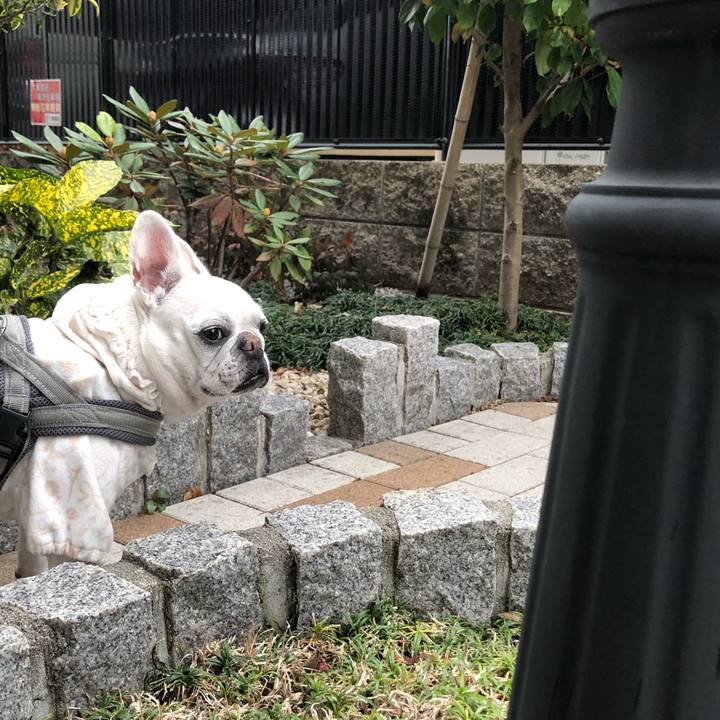 2d0ebaea 39a0 43bc ba24 4d63ca087e5b 1673662993656