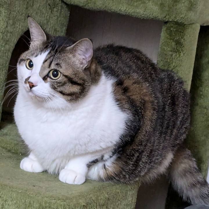 2d0ebdde 1d12 46b6 96aa 4055077fb604 1734738653777