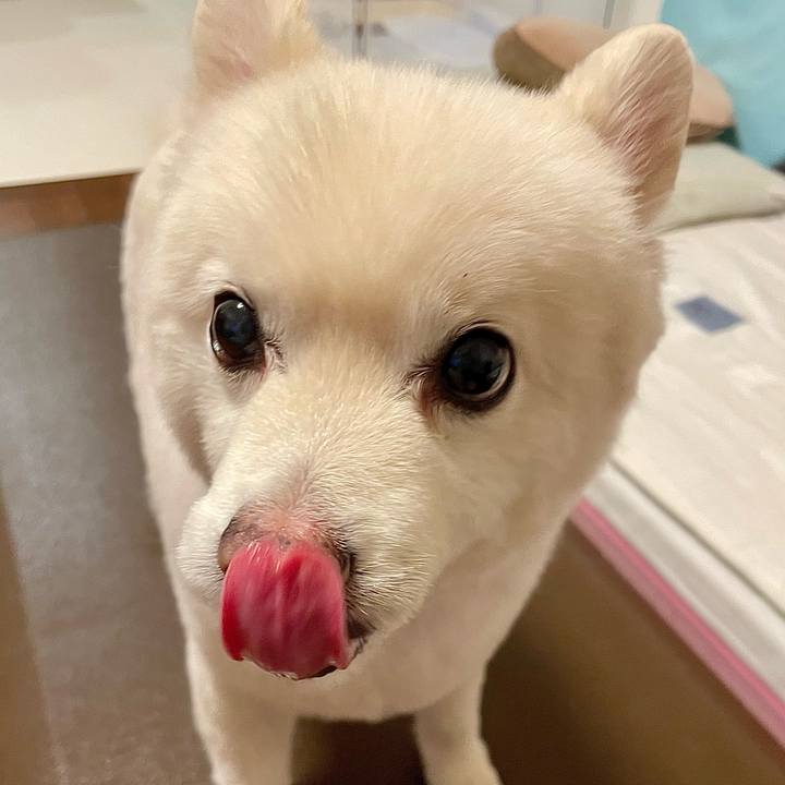 2d0ec74f cfa6 41d7 85d2 29fbe08bd2fa 1759666565293