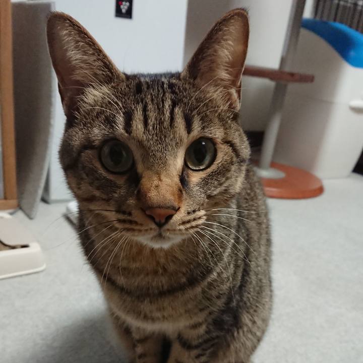 2d0ec8f1 70b1 4d62 8af3 4923c71223da 1515839890485