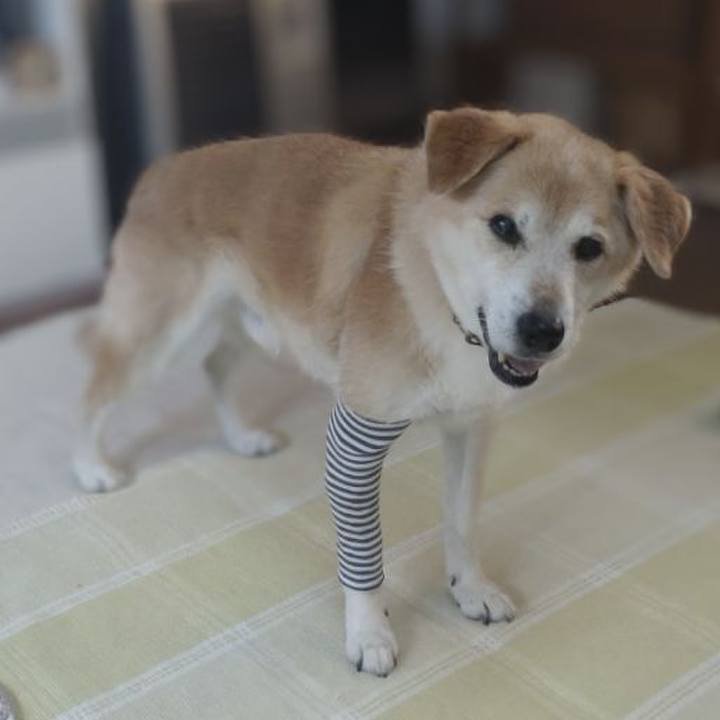 2d0ee861 7497 4e71 b827 dfbeac3deb4b 1653813119784