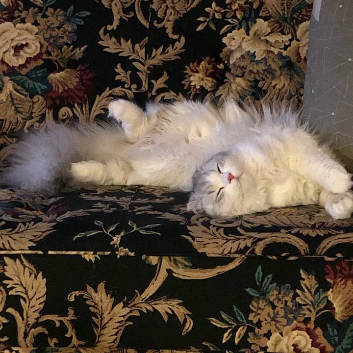 2d0f0307 b1ba 4833 a1d6 05b4030f0ead 1619862457238