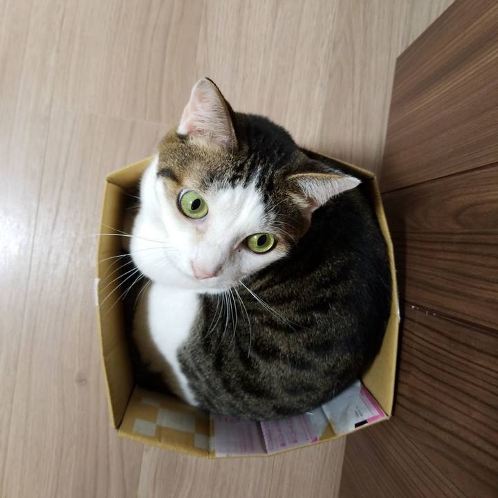 2d0f0735 d235 49eb 96c5 2bc3d8ca9b74 1570396909554