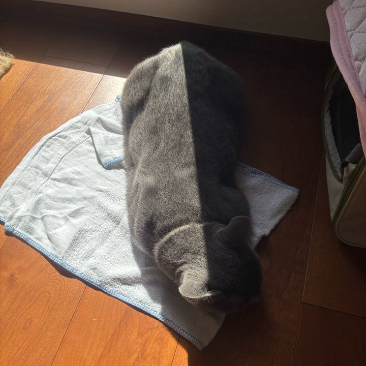 2d0f0cc3 299e 4730 ab16 76d062996abd 1760058730394