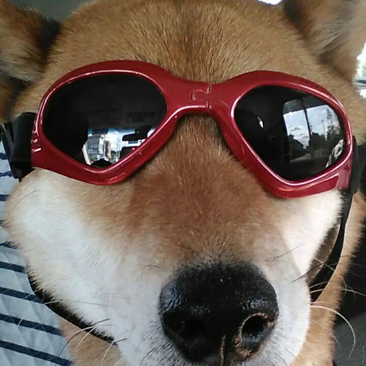 2d0f11e0 84fc 47cd 82fc ee5313047ef8 1526713119376