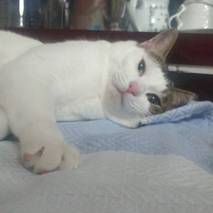 2d0f2d9f 5000 4164 9997 193b53d21ead 1758370802318