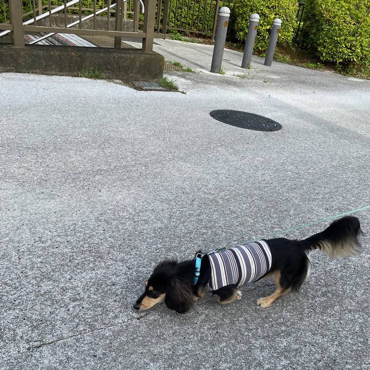 2d0f52da c387 43f1 b020 db588b22d5a9 1694390302454