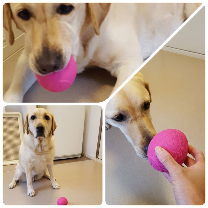 2d0f6847 7a0d 4e85 94ac a64f502787c5 1521529221741