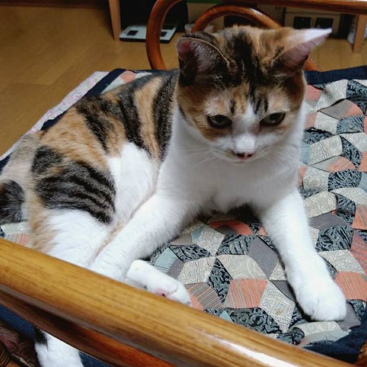 2d0f72ee 4018 4e5a a1f7 c82c7fe578a1 1603369044334