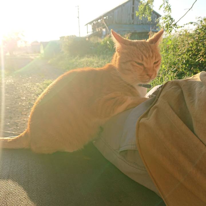 2d0fb2b5 fa45 489a aaf5 880ed46a88fe 1597870644447