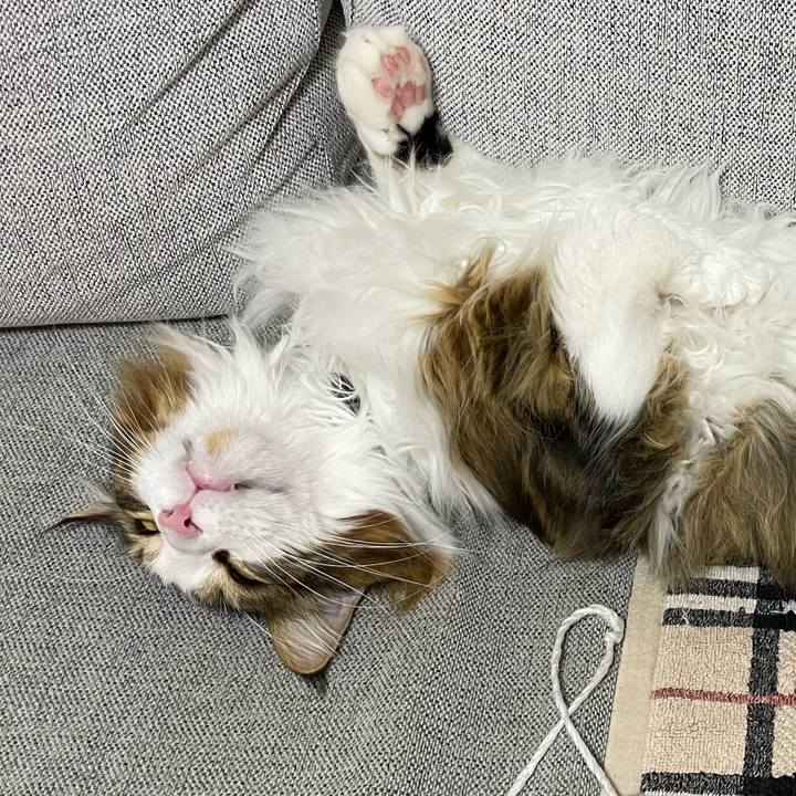 2d0fb71e 378f 4709 915d ffc046ec739b 1669205651737