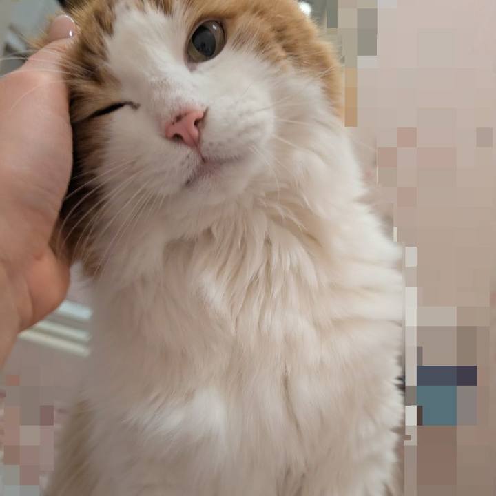 2d0fb82c 3bb6 4676 8e2d 20433a9d41f9 1771508338884