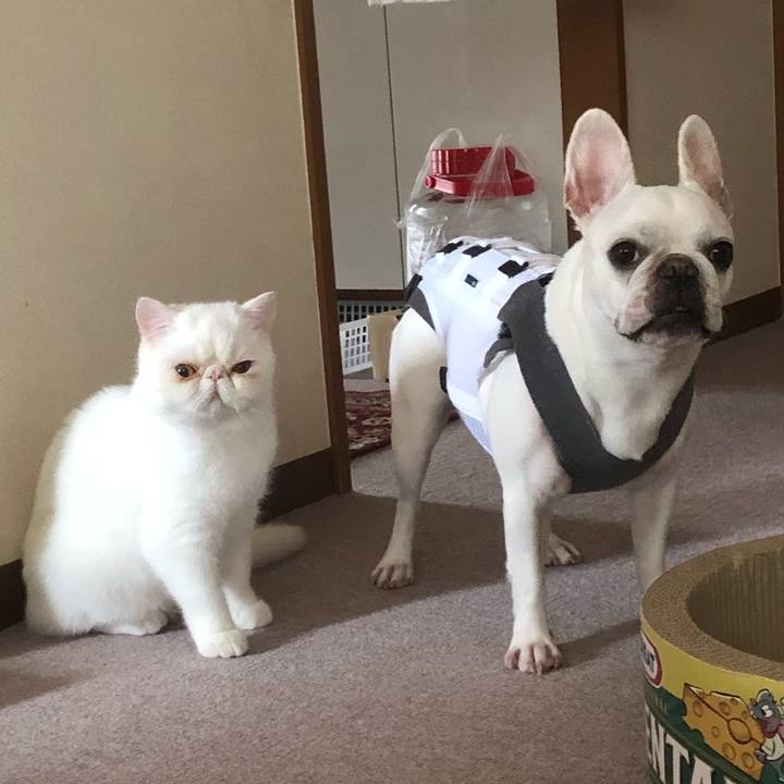 2d0fd65c 535e 4b6b b64b c0c569c54e99 1563695751547