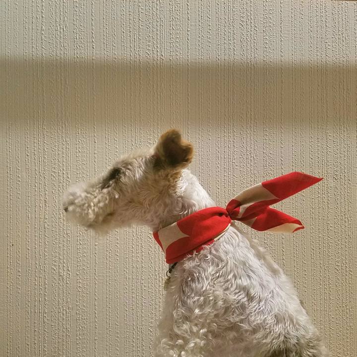 2d10049d 08fb 42f5 aa1c 9dfb16a9ff39 1562071450167