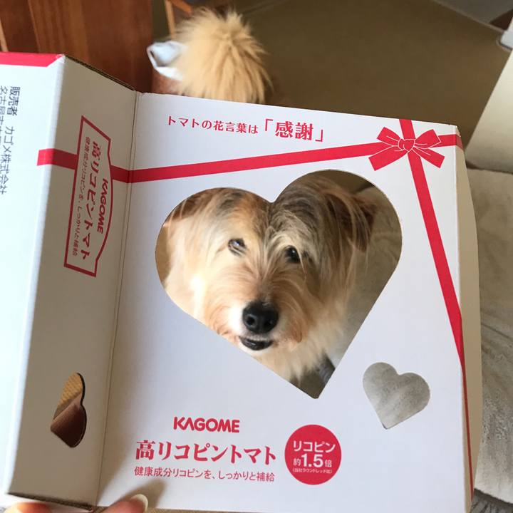 2d104fe6 0e66 4983 b0f5 19634ae1cbb8 1589412104242