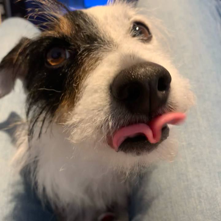 2d106460 ef58 4584 a822 b718904a2c14 1618645914909