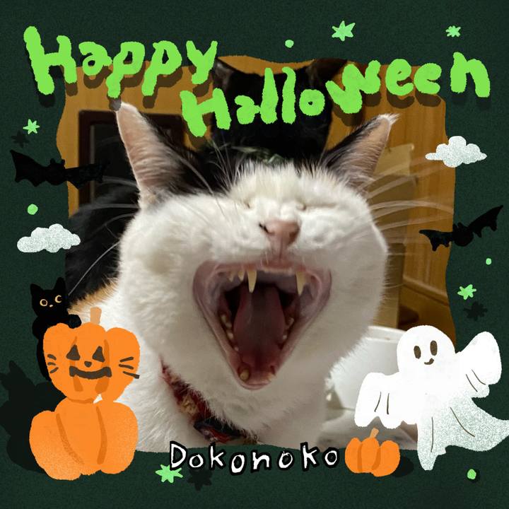 2d106eab 51fc 4831 9ca0 742711cb0ca1 1729177204077