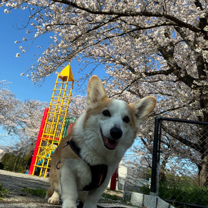 2d107cbf 8a2a 4b2e 8a57 f46985249b9c 1775184158170