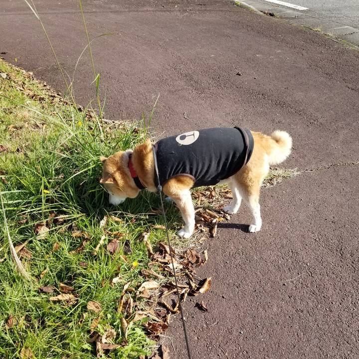 2d109633 8b4a 4418 aa76 a57908284a84 1730611158032