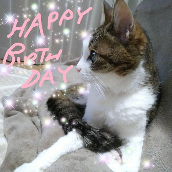 2d10a088 07ac 439d 956d b38e1d849ac3 1554378149446