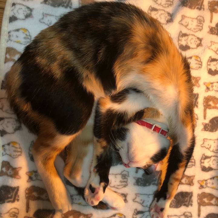 2d10a9bc c87a 4845 acff 00e50a8ba2d6 1551341890598