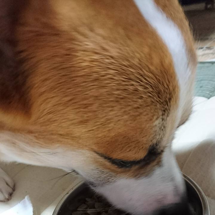 2d10b143 6a68 4200 872b cbb5ef4a6739 1593343992362