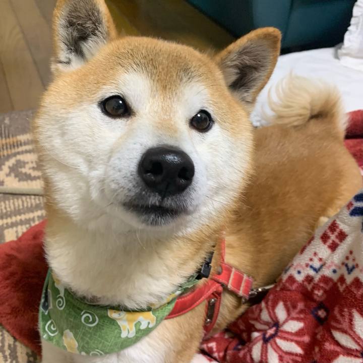 2d10d6cc 69b0 40fc a656 bceb9c47c830 1612861458008