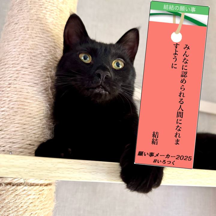 2d10eb18 1aa3 464f a905 4ec170b1c92c 1751861844055