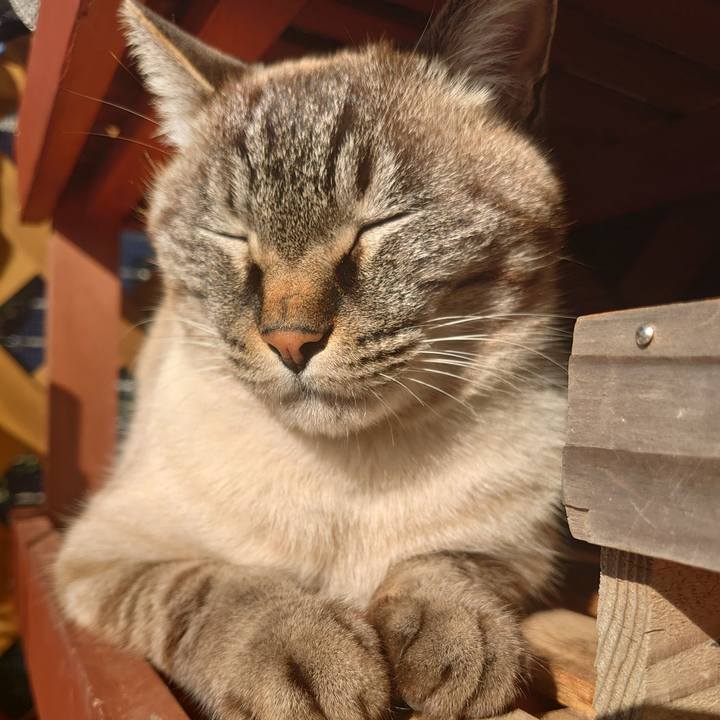 2d1101a4 a783 4307 b825 4464609f53e4 1705368242487