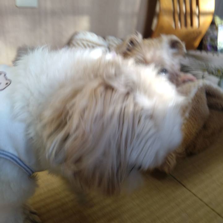 2d111710 aaea 4216 b6ba 697f518be320 1703375576897