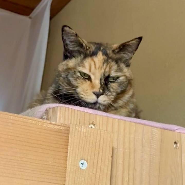 2d11558b c37d 43e8 a2ed b136ce49d27d 1763541895473