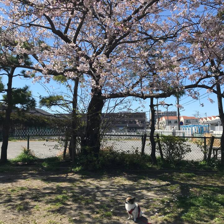 2d117d43 6865 4e18 b909 7fa7f37027ab 1584669182990