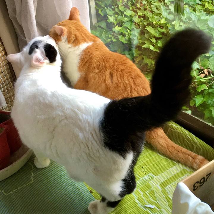 2d118b65 b8a7 4cfc 9607 a90a009e8792 1596856236014