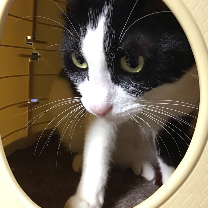 2d118bd2 b4d1 4e96 a486 1d62d023584a 1729327703690