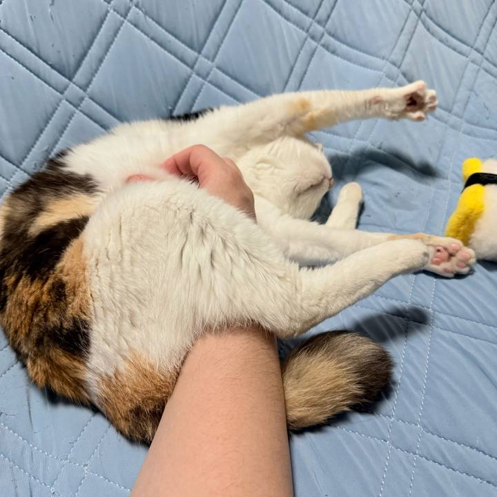 2d11c82d fc99 408f a594 6ff1f24dbaae 1750818712320