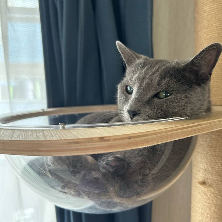 2d11cc7a a580 474f a626 df1f13eda8da 1688092007394