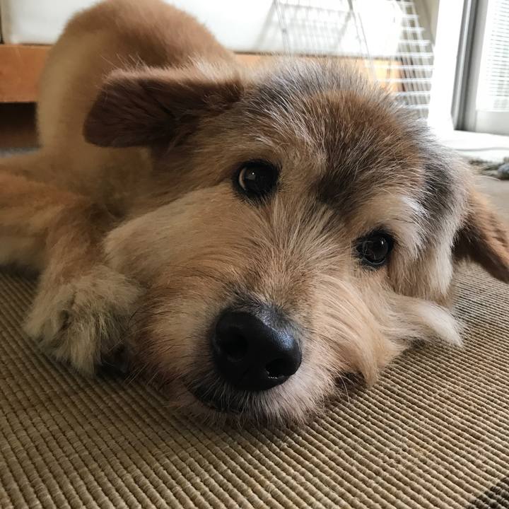 2d11d5a2 839b 4615 b7f8 ad1ae069c313 1596867625921