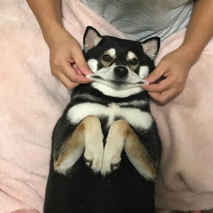 2d11e7cf e685 486a 9fc0 3a0f28abe97d 1511758376019