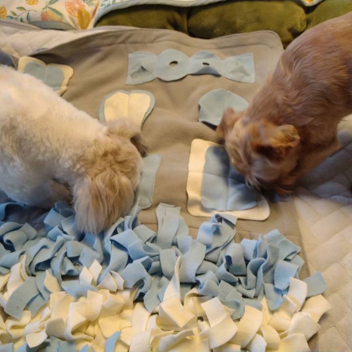 2d1219cb 3795 425e 8d30 66d7675d2742 1623286874119