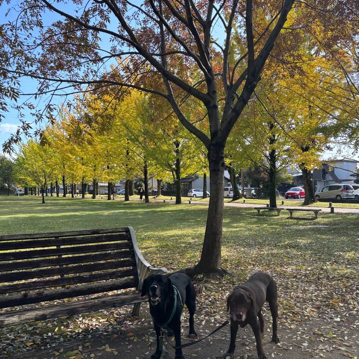 2d122df8 e058 45fb 9e19 38a2ce738826 1762779589165