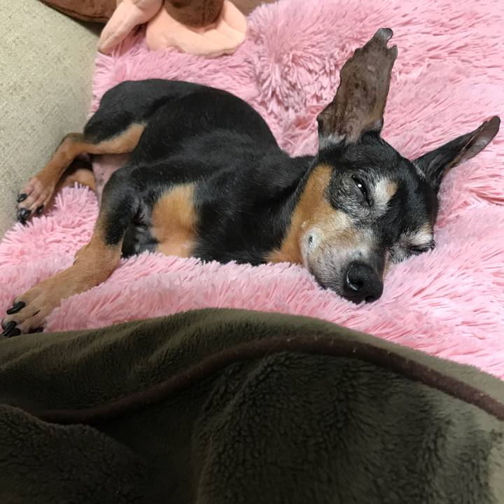 2d126d24 7ba0 4cce bd86 3e7a53f6201d 1533965591031