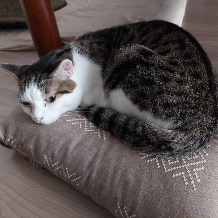 2d12a736 c481 4c19 84e1 fb673ab340a2 1660691388440